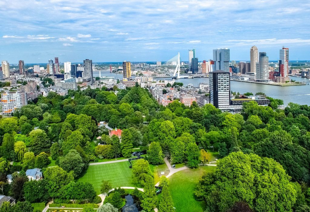 city, cityscape, aerial view, building, tower, park, landscape, panorama, rotterdam, netherlands, holland, green city, green building, rotterdam, rotterdam, rotterdam, green city, green city, green city, green city, green city, green building, green building